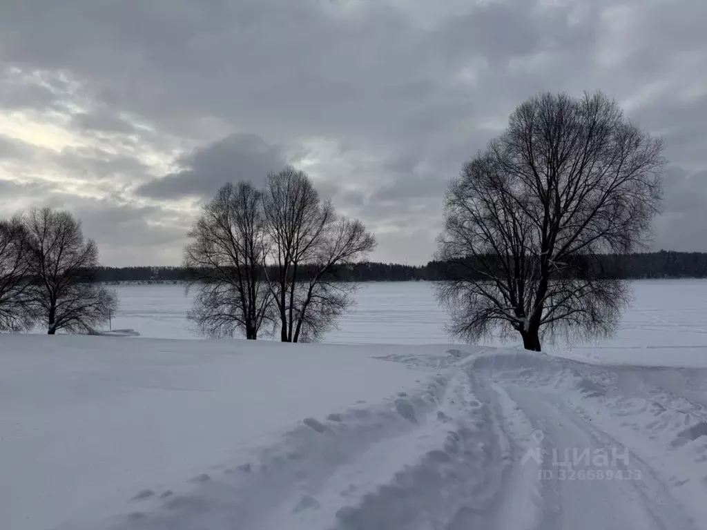 Участок в Московская область, Можайский муниципальный округ, Маяк кп ... - Фото 2