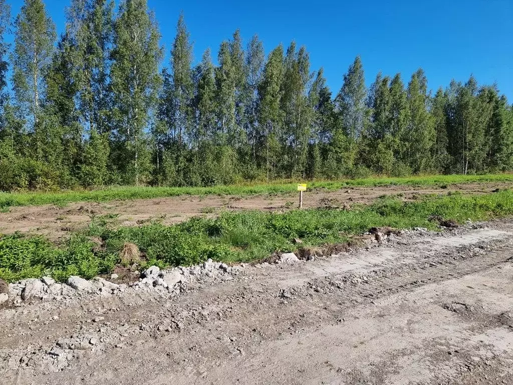 Участок в Ленинградская область, Всеволожский район, Свердловское ... - Фото 1