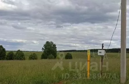 Участок в Удмуртия, Завьяловский район, д. Каменное, Зеленодолье кп ... - Фото 2