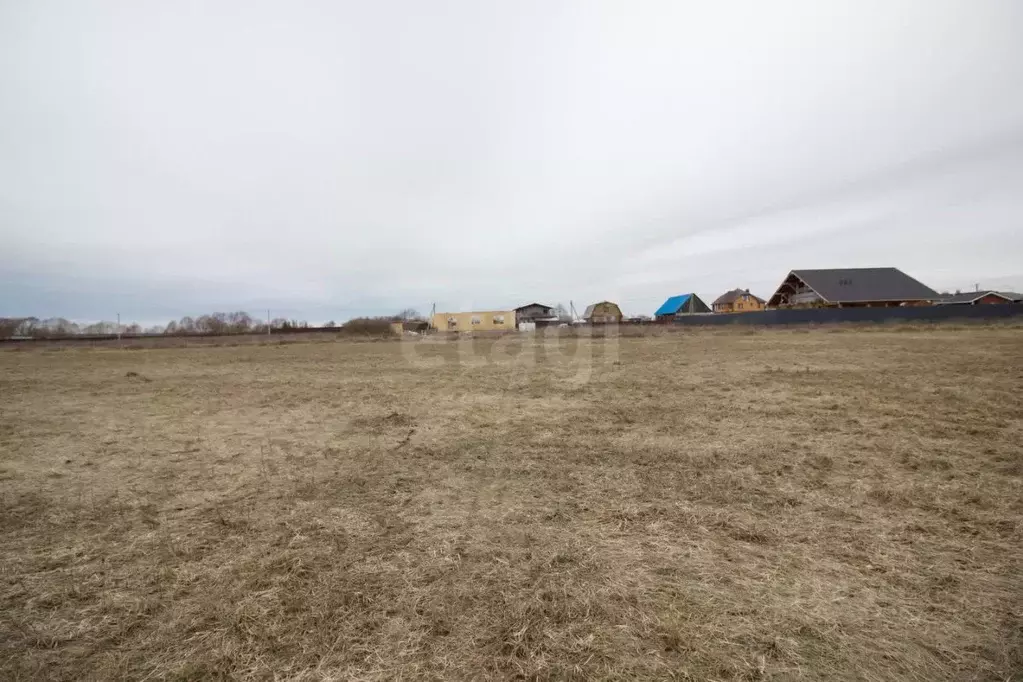 Участок в Калужская область, Дзержинский муниципальный округ, с. ... - Фото 2