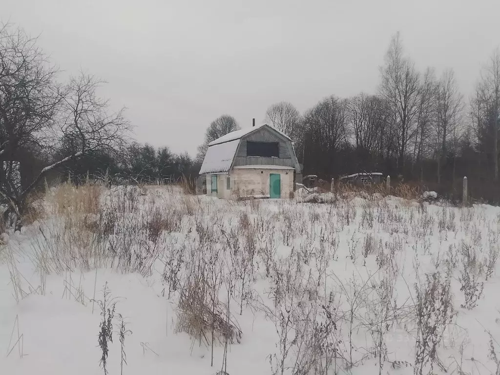 Участок в Псковская область, Островский муниципальный округ, Балтика ... - Фото 1