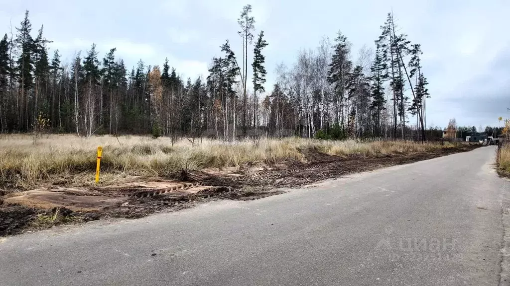 Участок в Воронежская область, Рамонский район, с. Ямное ул. ... - Фото 1