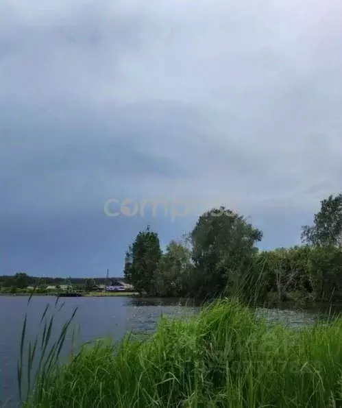 Участок в Тюменская область, Тюменский район, д. Насекина  (8.0 сот.) - Фото 0