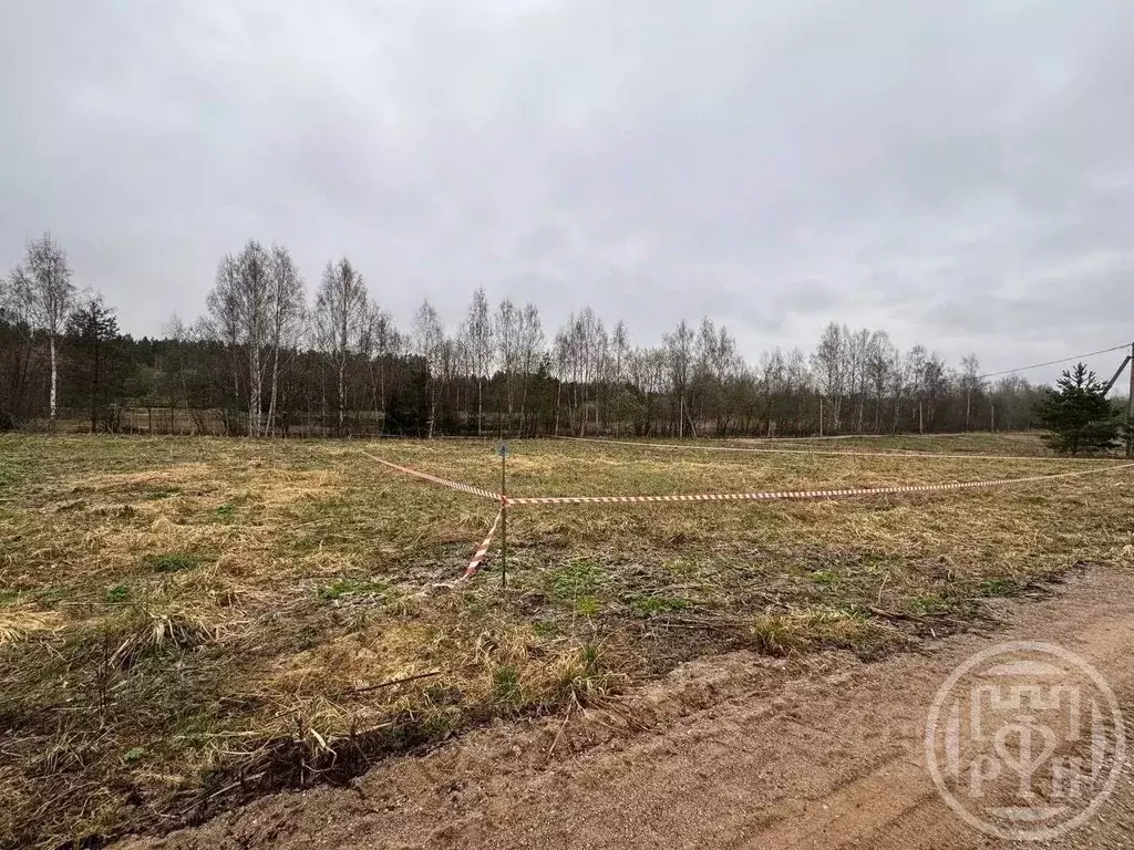 Участок в Ленинградская область, Лужский район, Скребловское с/пос, д. ... - Фото 1