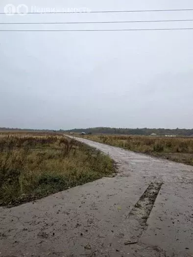 Участок в Калининградская область, Гурьевский муниципальный округ, ... - Фото 2