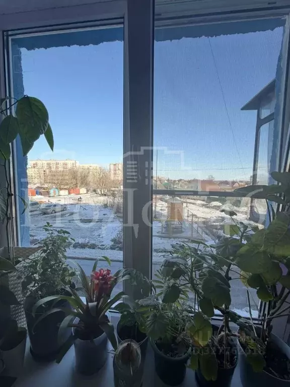 2-к кв. Курская область, Курск Магистральный проезд, 7А (44.3 м) - Фото 2