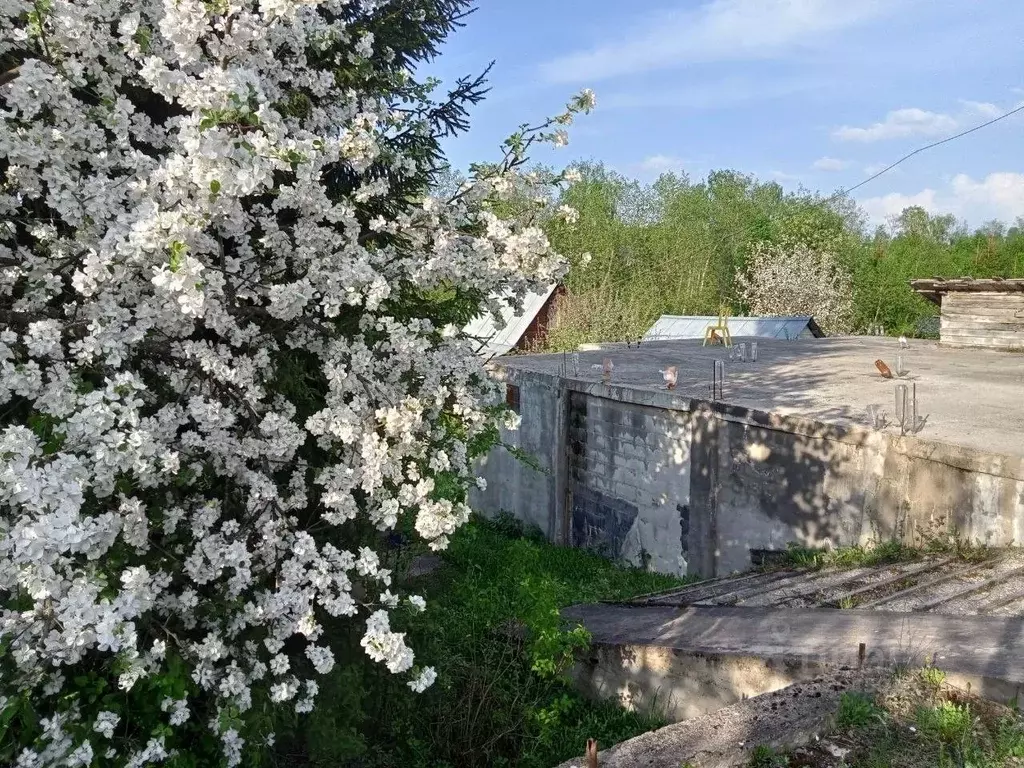 Дом в Московская область, Солнечногорск городской округ, Медвежий угол ... - Фото 1