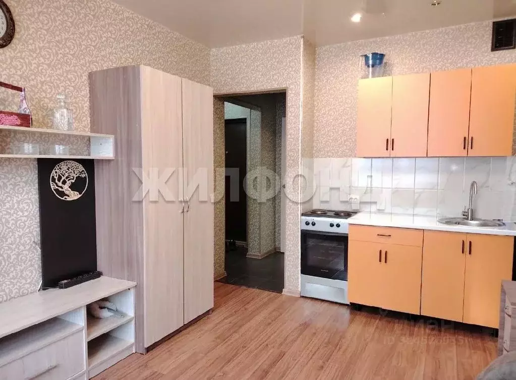 Студия Новосибирская область, Новосибирск ул. Одоевского, 1/10 (22.0 ... - Фото 2