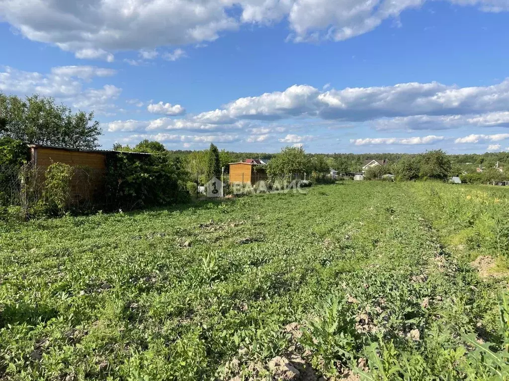 Земля константиново. Село кленово новая Москва.