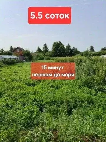Участок в Калининградская область, Зеленоградский муниципальный округ, ... - Фото 1