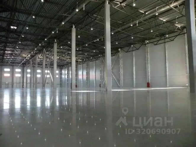 Склад в Московская область, Раменский муниципальный округ, Складского ... - Фото 2