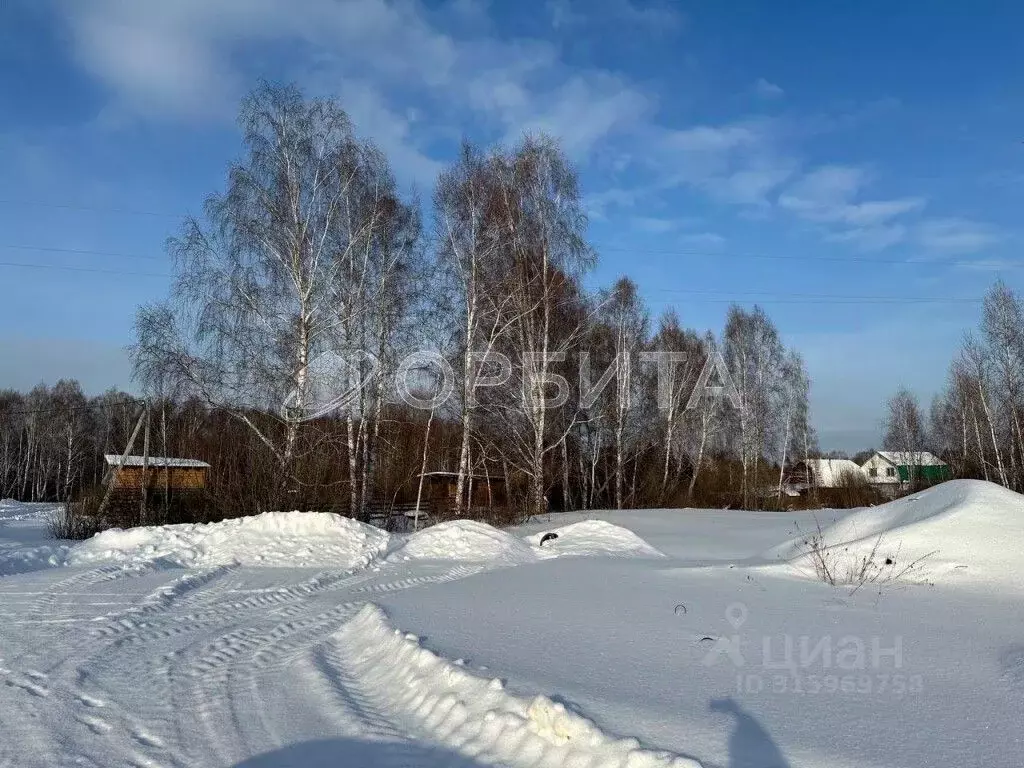 Участок в Тюменская область, Тюменский район, с. Кулига ул. ... - Фото 1