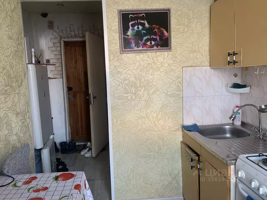 1-к кв. Пензенская область, Пенза Экспериментальная ул., 10 (24.0 м) - Фото 2