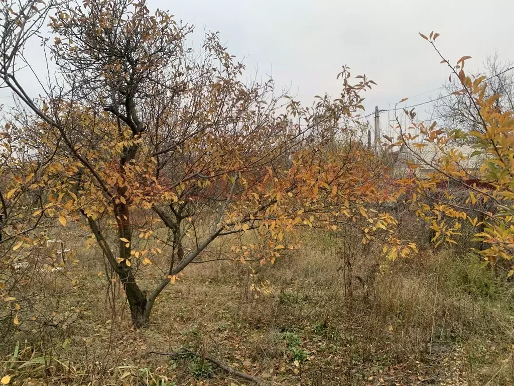 Участок в Ростовская область, Новочеркасск ул. Персиковая (7.4 сот.) - Фото 0