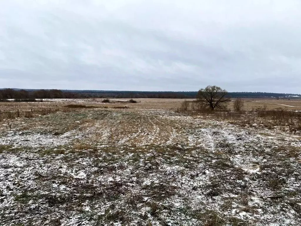Участок в Калужская область, Козельский муниципальный округ, Нижние ... - Фото 1