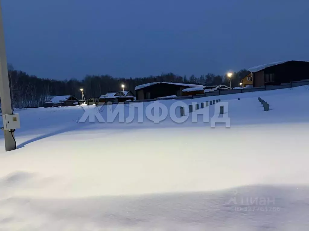 Участок в Новосибирская область, Новосибирский район, Каменский ... - Фото 1