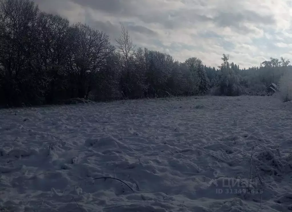 Участок в Московская область, Можайский муниципальный округ, д. ... - Фото 0