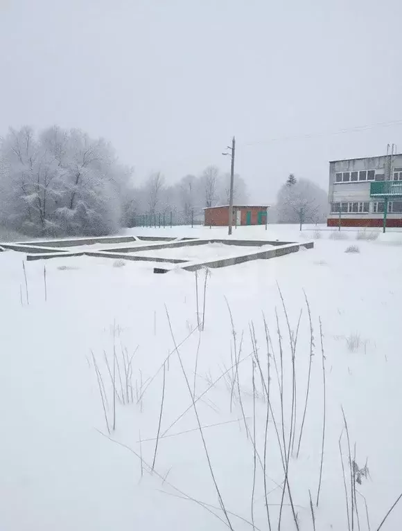 Участок в Тульская область, Веневский муниципальный округ, д. Кукуй ... - Фото 2