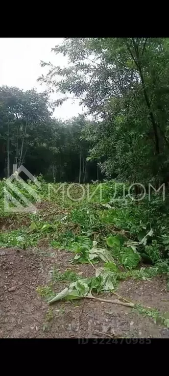 Участок в Сахалинская область, Южно-Сахалинск А-391, 7-й км (8.0 сот.) - Фото 1