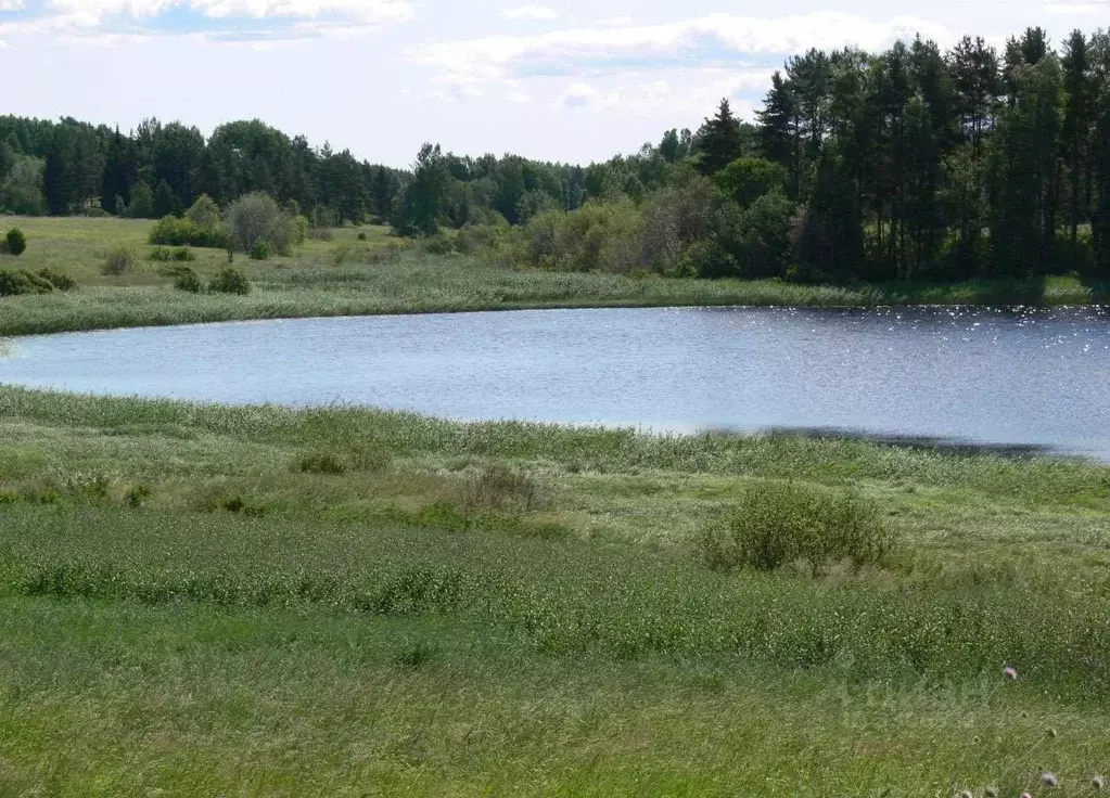 Участок в Ленинградская область, Приозерский район, Мельниковское ... - Фото 1