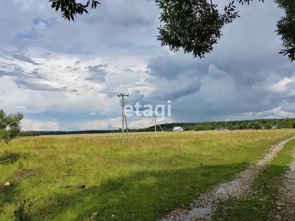 Участок в Владимирская область, Петушинский муниципальный округ, д. ... - Фото 2