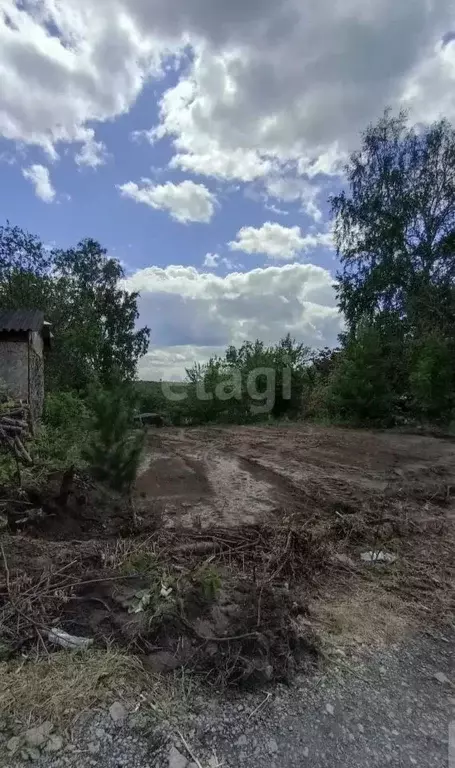 Участок в Новосибирская область, Новосибирский район, Раздольненский ... - Фото 0