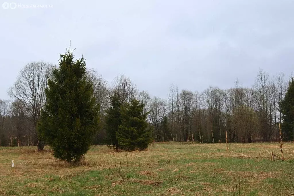 Участок в Копорское сельское поселение, деревня Маклаково (16.5 м) - Фото 1