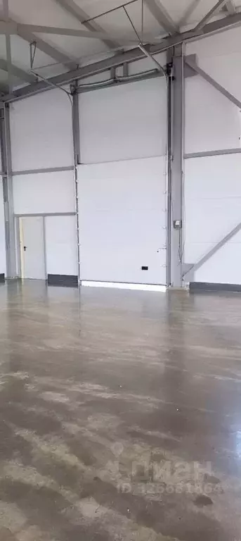 Помещение свободного назначения в Санкт-Петербург, Санкт-Петербург, ... - Фото 1