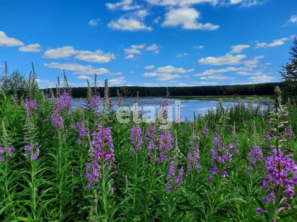 Участок в Свердловская область, Горноуральский городской округ, д. ... - Фото 1