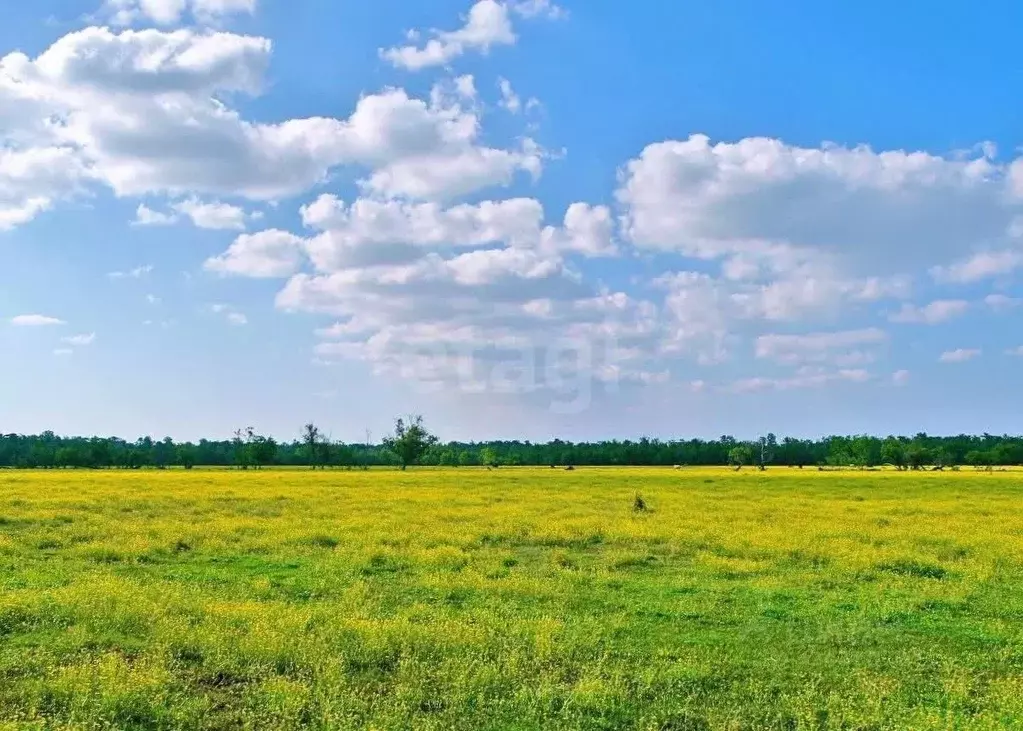 Участок в Тверская область, Кимрский муниципальный округ, д. Головино ... - Фото 2