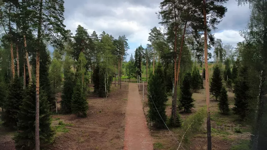 Участок в Московская область, Щелково городской округ, Литвиново ... - Фото 2