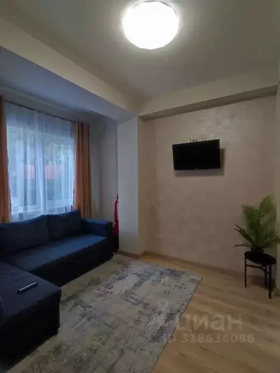 2-к кв. Краснодарский край, Сочи Красная ул., 49 (32.0 м) - Фото 0