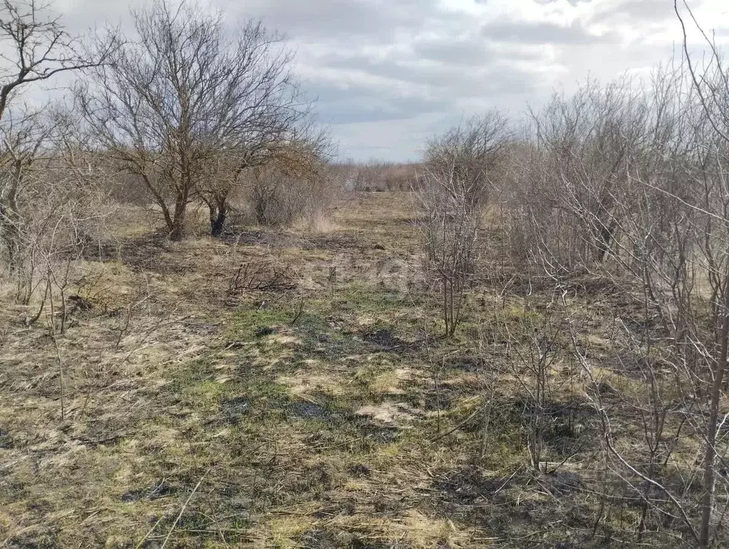 Участок в Ставропольский край, Ставрополь Вольница-2 садовое ... - Фото 1