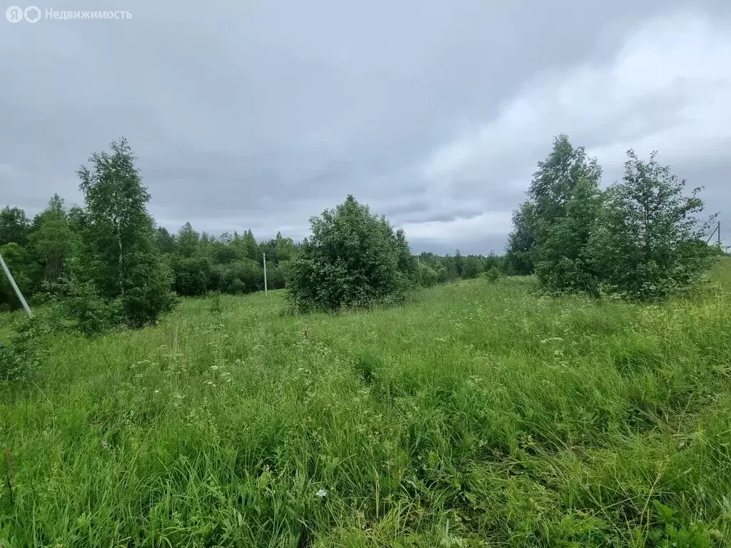 Участок в Вологодская область, Череповецкий муниципальный округ, село ... - Фото 2