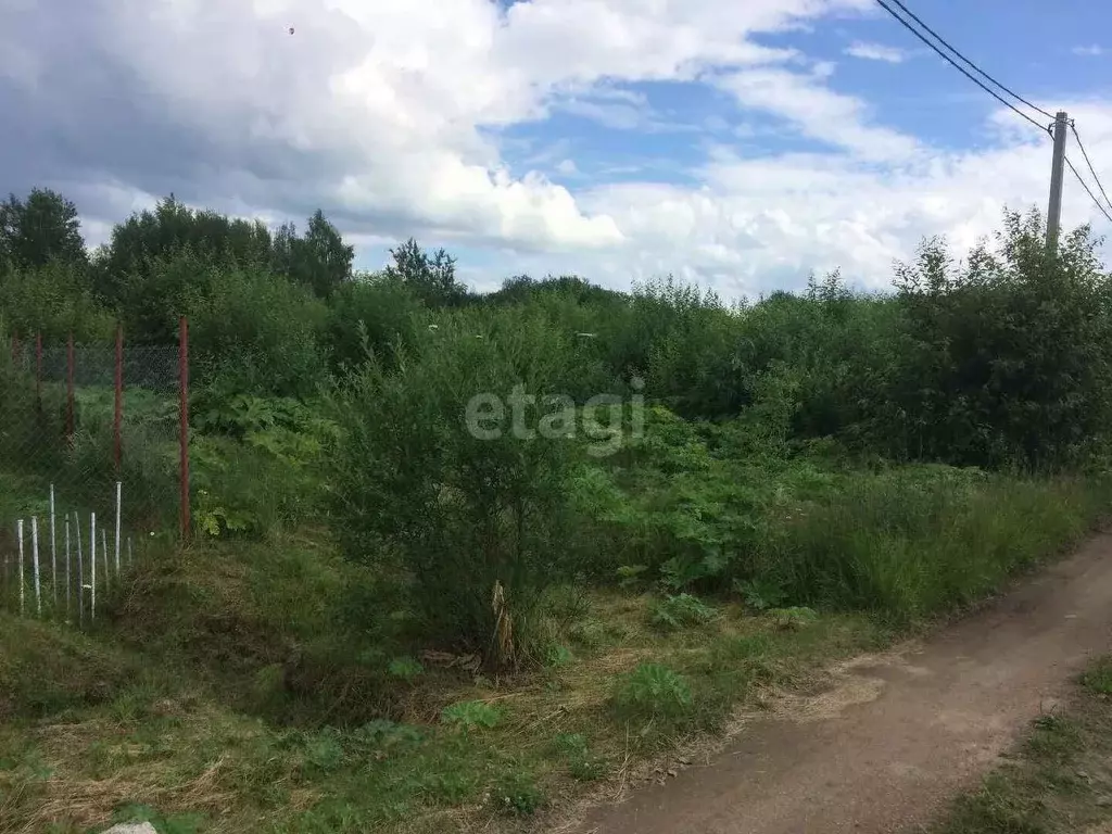 Участок в Ярославская область, Тутаевский район, Константиновское ... - Фото 0