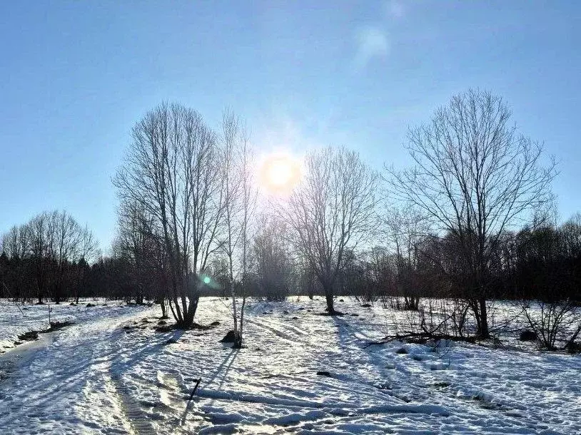 Участок в Московская область, Клин городской округ, д. Покровка  (9.5 ... - Фото 1