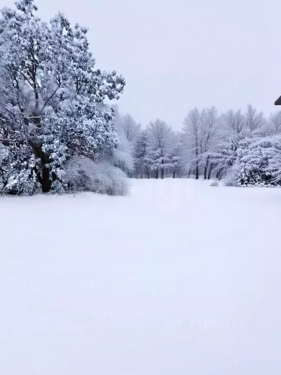 Участок в Ярославская область, Ростовский муниципальный округ, д. ... - Фото 1