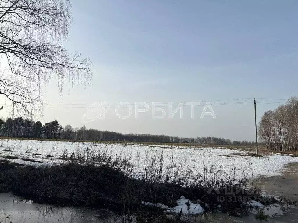 Участок в Тюменская область, Тюменский район, д. Ушакова Зеленая ул. ... - Фото 1