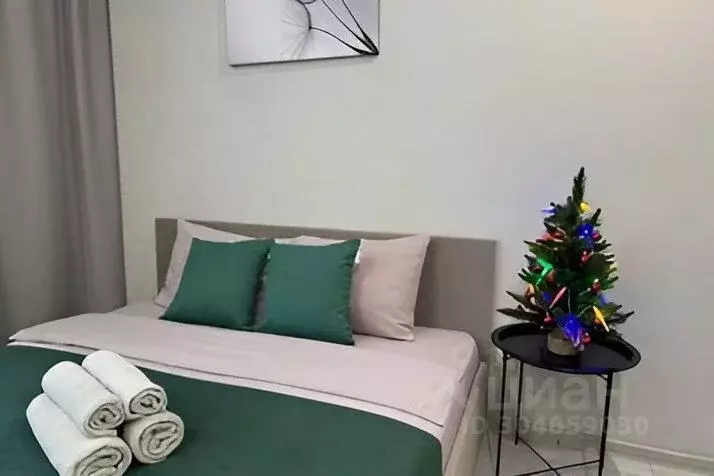 1-к кв. Татарстан, Казань ул. Родины, 26Г (30.0 м) - Фото 0