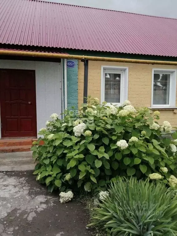 Дом в Липецкая область, Грязи пл. Красная (60 м) - Фото 1