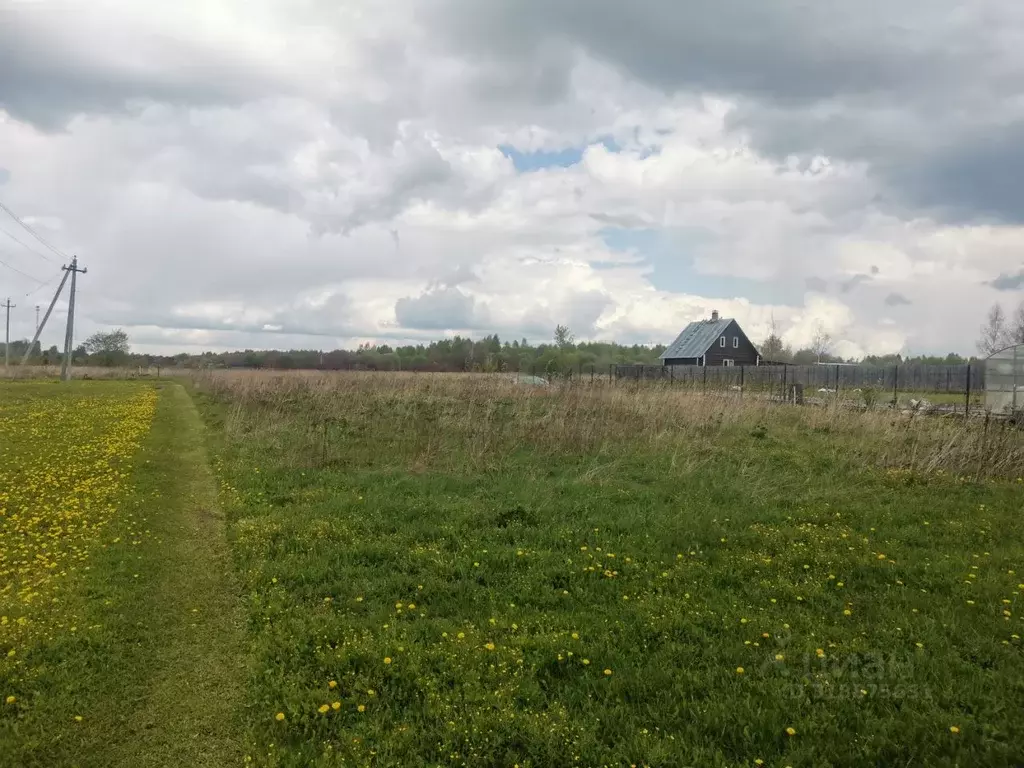 Участок в Московская область, Орехово-Зуевский городской округ, д. ... - Фото 0