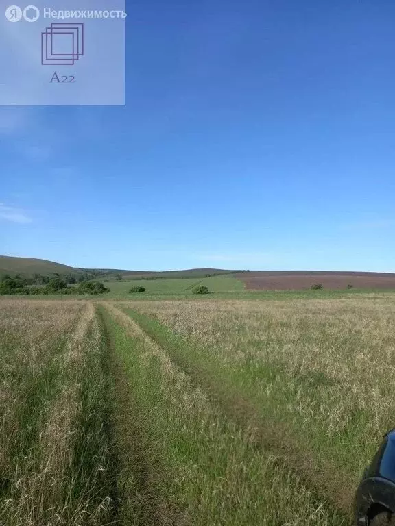 Участок в Краснощёковский район, Усть-Козлухинский сельсовет, село ... - Фото 1