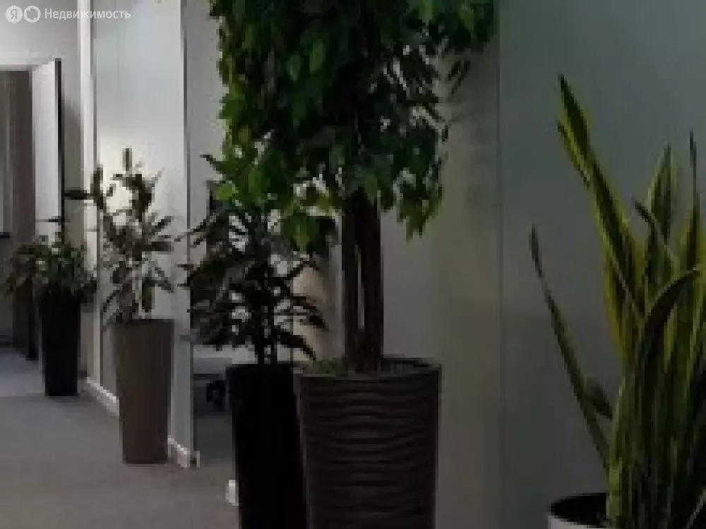 Офис (289.7 м) - Фото 2