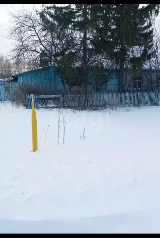 Дом в Омская область, Называевский район, с. Старинка Зеленая ул., 6 ... - Фото 0