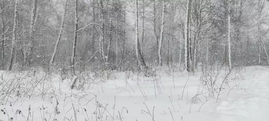 Участок в Московская область, Солнечногорск городской округ, д. ... - Фото 1