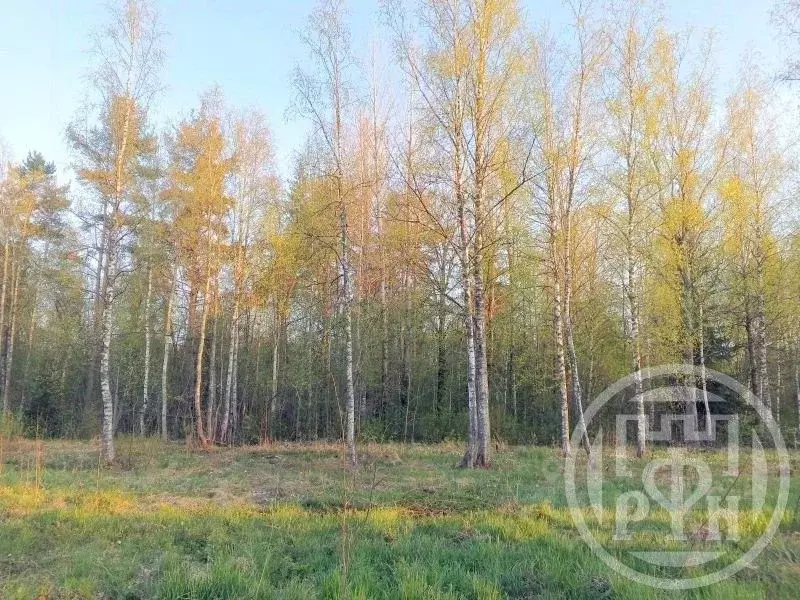 Участок в Ленинградская область, Выборгский район, Красносельское ... - Фото 0