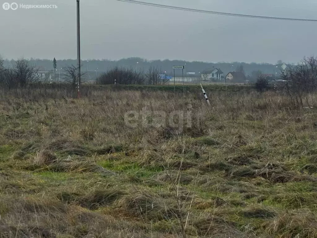 Участок в Калининградская область, Зеленоградский муниципальный округ, ... - Фото 2