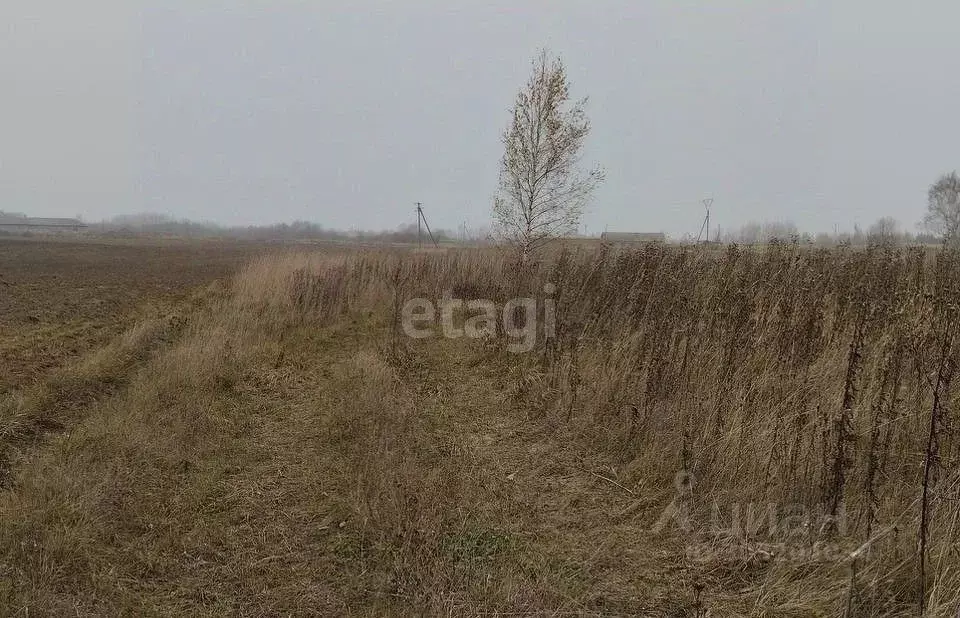 Участок в Вологодская область, д. Евлашево 3 (8.5 сот.) - Фото 1