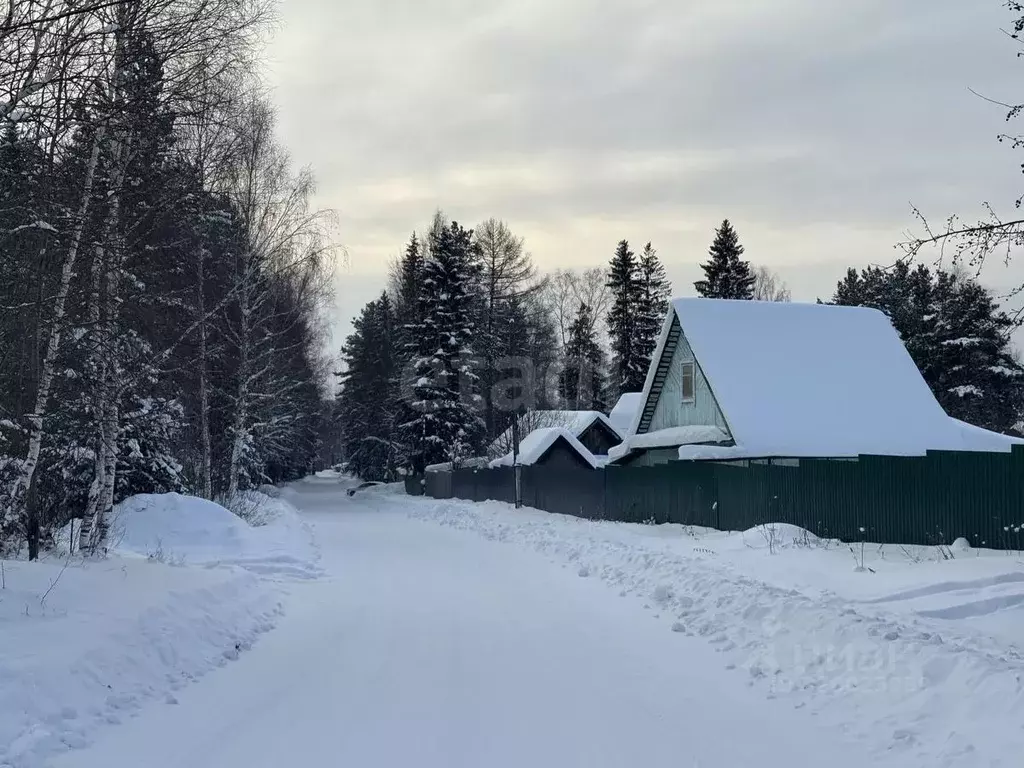 Дом в Свердловская область, Нижний Тагил Старатель № 1-2 СНТ, ул. ... - Фото 1