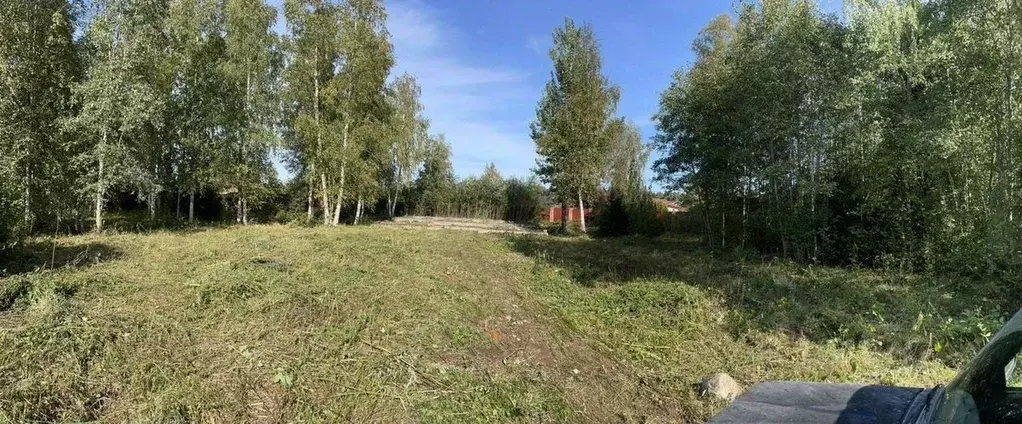 Участок в Ленинградская область, Волховский район, Потанинское с/пос, ... - Фото 2